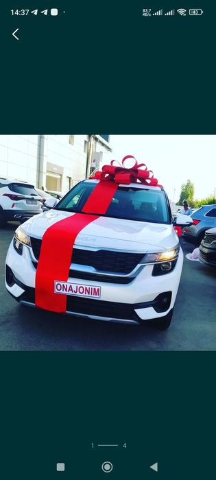 Лента бант, Avtobantik, бант для машины