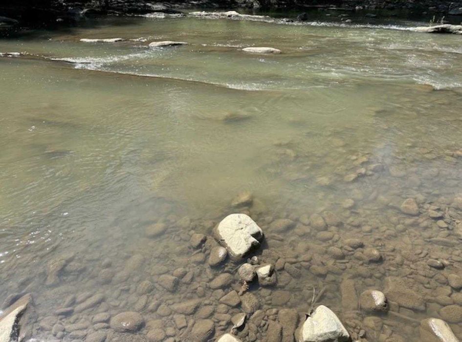 Teren munte, Brates- Tarcau- Piatra Neamt, teren cu o cabanuta