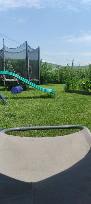 Întreținere spatii verzi