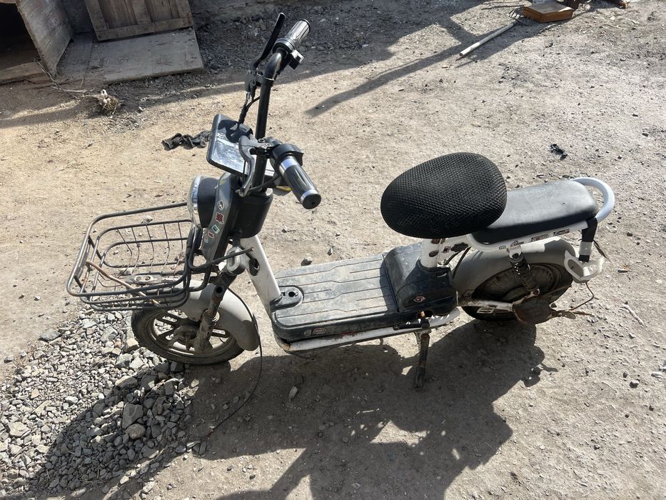 Электро      велик