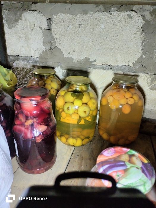 Огурцы дачные компот
