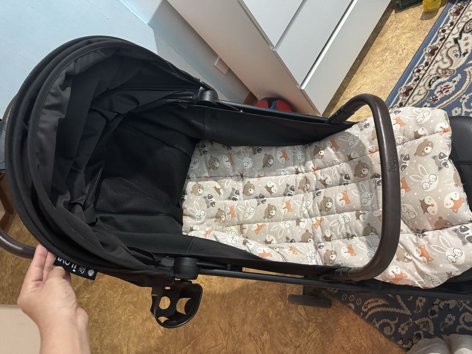 Коляска ilove кампаниясынки