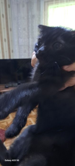 Мальчик 2 месяца