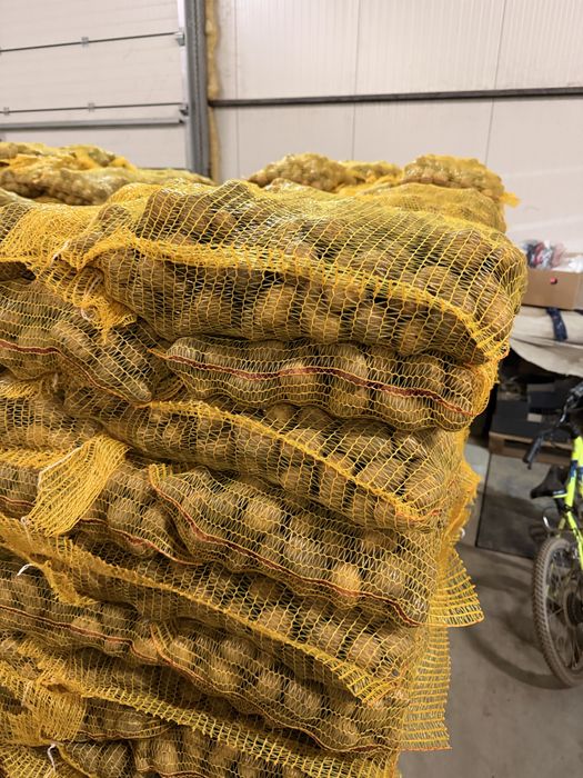 Cartofi samanta sau pentru animale