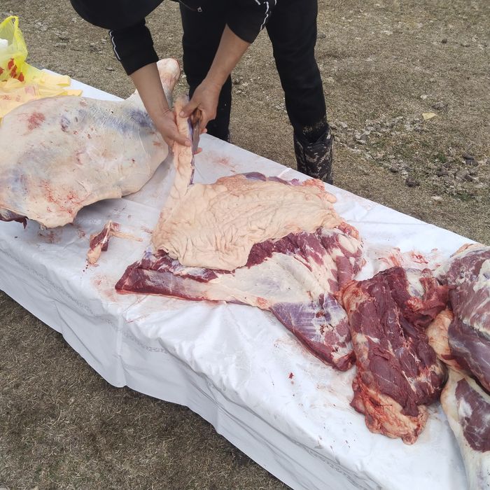 Жылқы соғымға 3000 тг кг