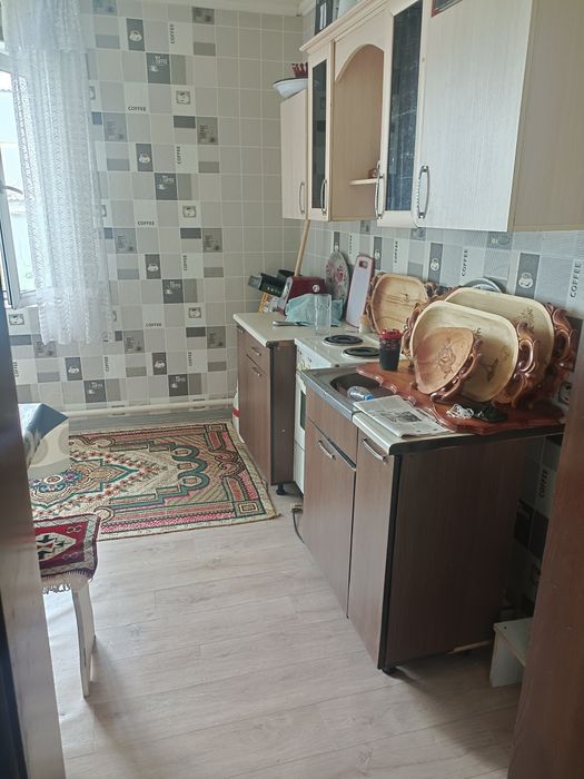 Продам дом, село Шакат + крс 12 голов