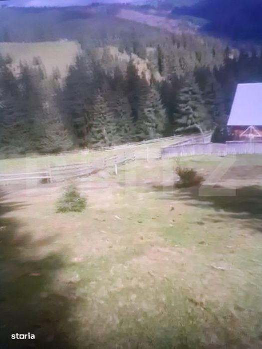 Teren in comuna Panaci, 15000 mp, oportuintate unica de investitie