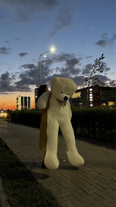 Плюшевые мишки от 9990тг