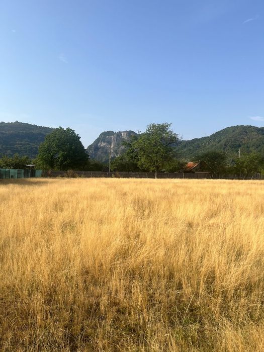Teren intravilan