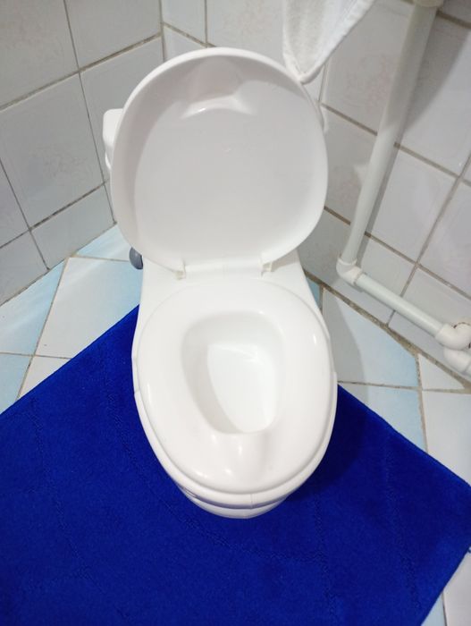 Olița muzicala ți wc copii