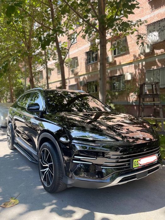 BYD CHEMPION гибрид  150  талик