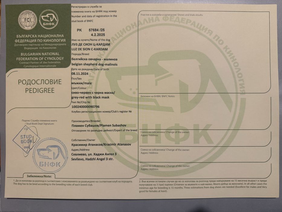 Белгийска овчарка