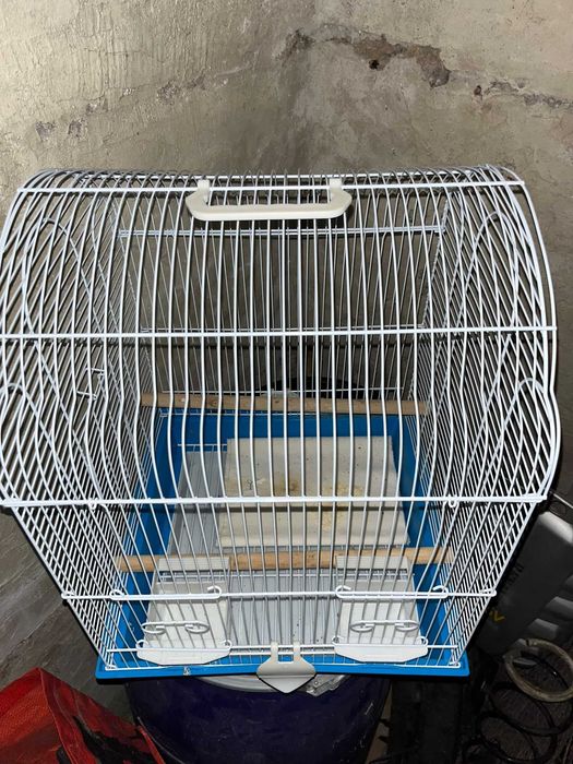 colivie papagali mici şi mari