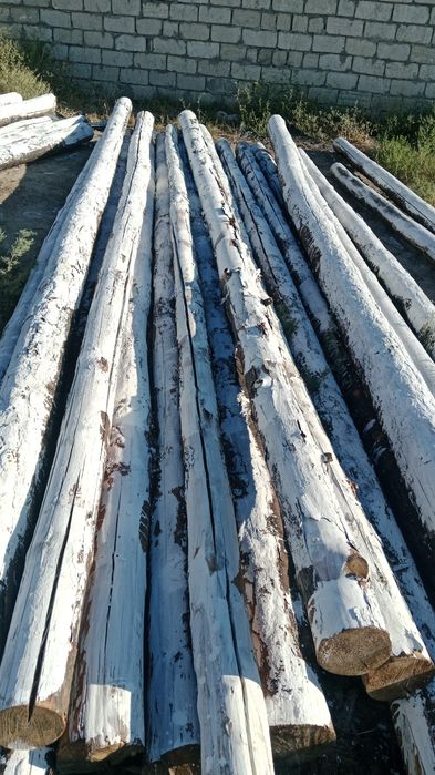 Тастама новое не использыванное