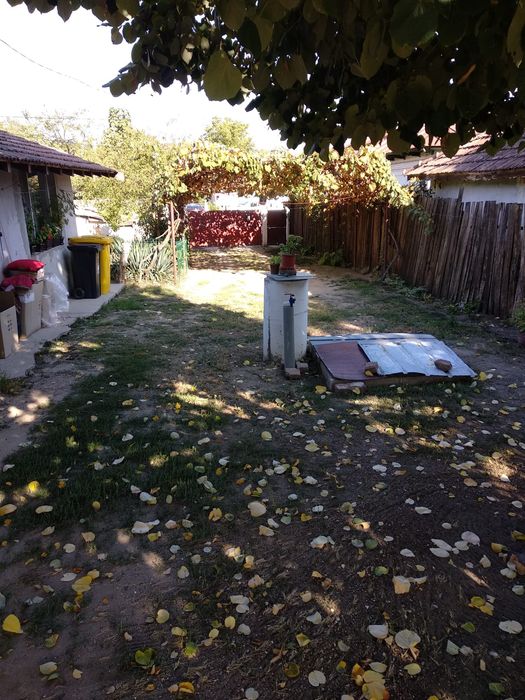 Casa Malu Mare, str Bechetului( principala) 729 mp!