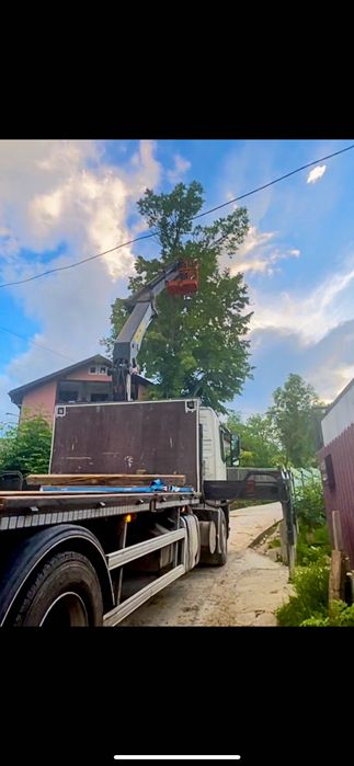 Servicii inchiriere automacara, nacela, rampe, transport, defrisare