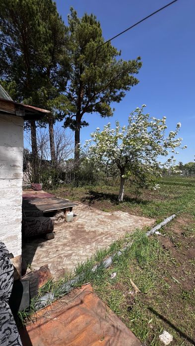 Дача Коллективе 21