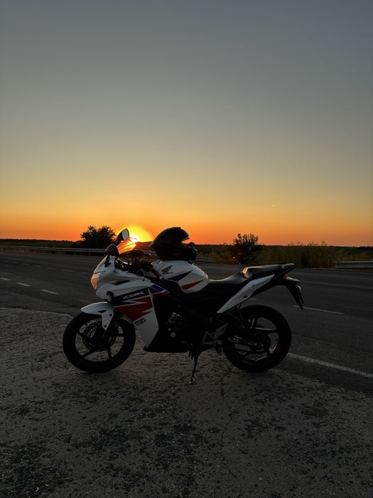 Honda cbr 125 jc50