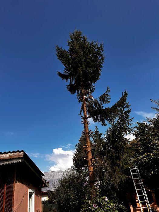 Ofer servicii intretinere casa si gradina!