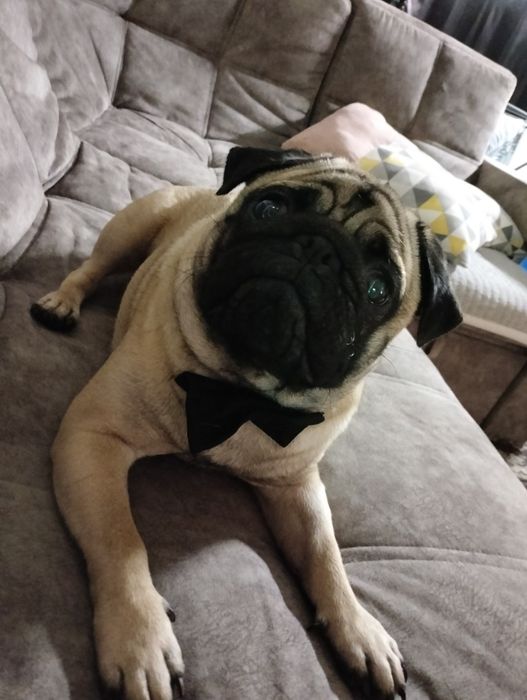 Ищу подружку для вязки.