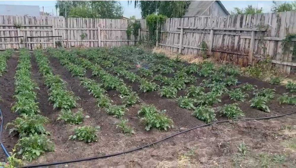 Срочно продам Дачу ПКСТ Текстильщик