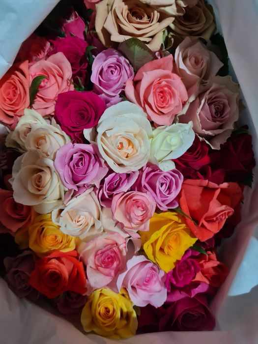 Розы ОПТОМ в пачках