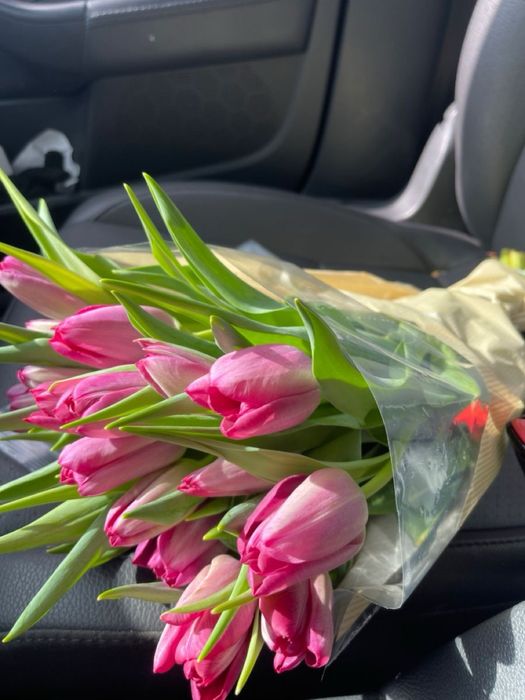 Тюльпаны королевкие