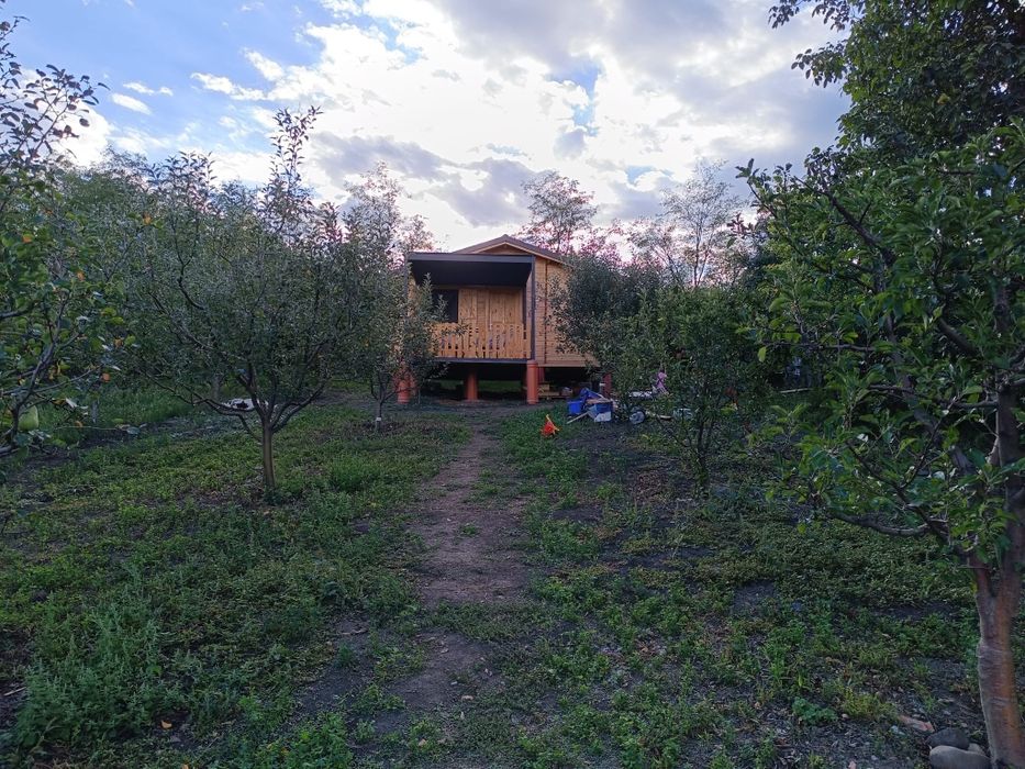 Căsuța din livadă de vânzare