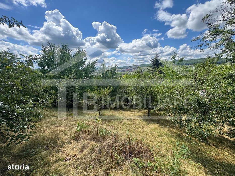 Casa cu 3 camere, 2300mp teren, zona SubPadure