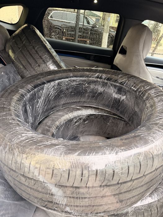 BYD Champion new 2026