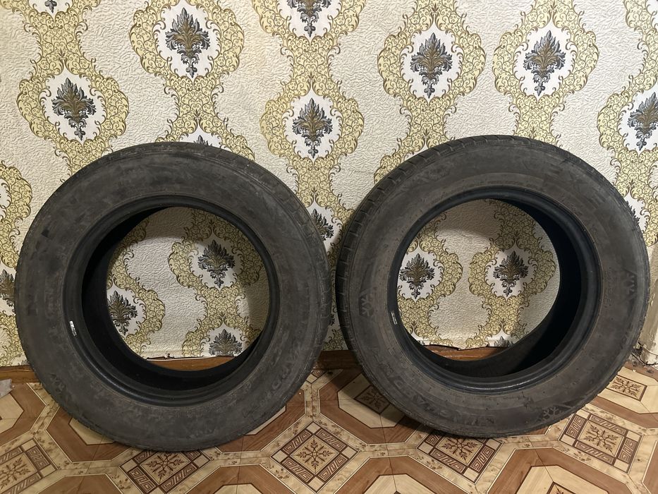 Ризина всесезонка