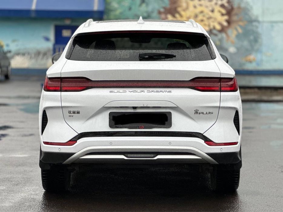 •BYD Champion 605 •