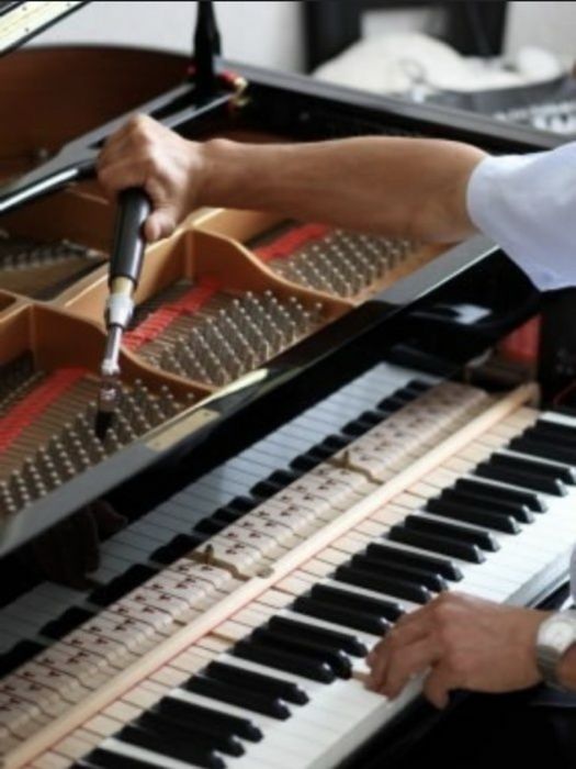 Фортепиано, пианино, Рояль настройка