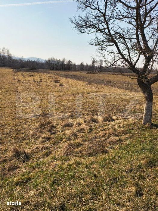 Teren extravilan de vanzare, 40 ARI, zona Racsa