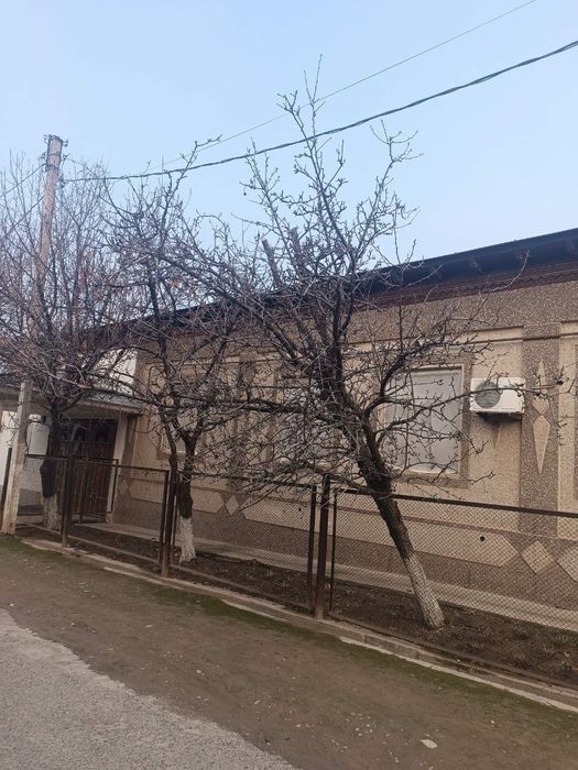 Yongʻoq,Gilos,Nok daraxtlari  sotiladi