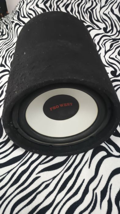 Subwoofere stații condensator