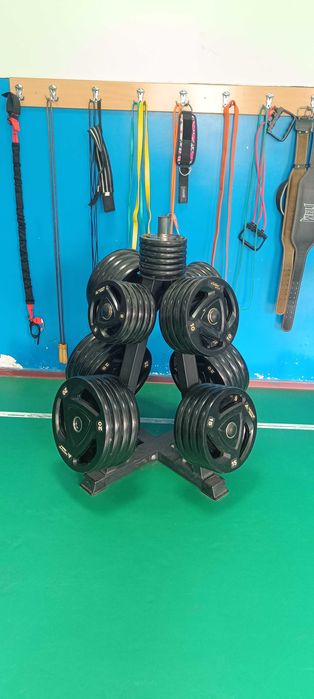 Lichidare Sală Fitness – Echipamente Profesionale (Life Fitness,Toorx)