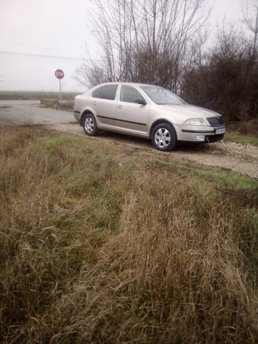 Skoda 2 1.9 tdi  proprietar fiscal acte valabile 1 an