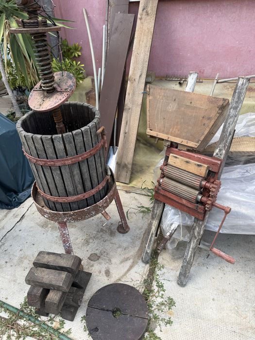 Teasc si presă struguri