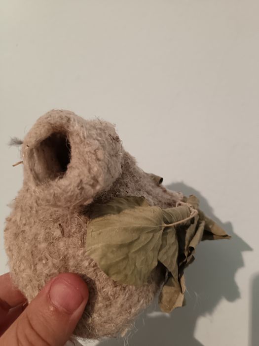 Гнездо ремеза,Куркылтайдын уясы