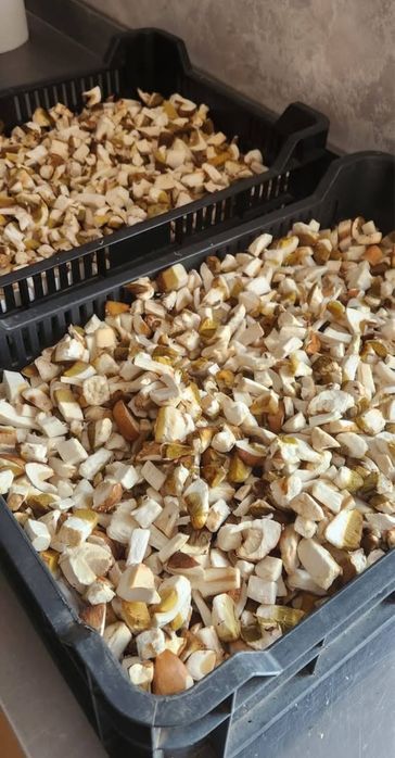 zacusca de vinete cu hribi oferta de iarna