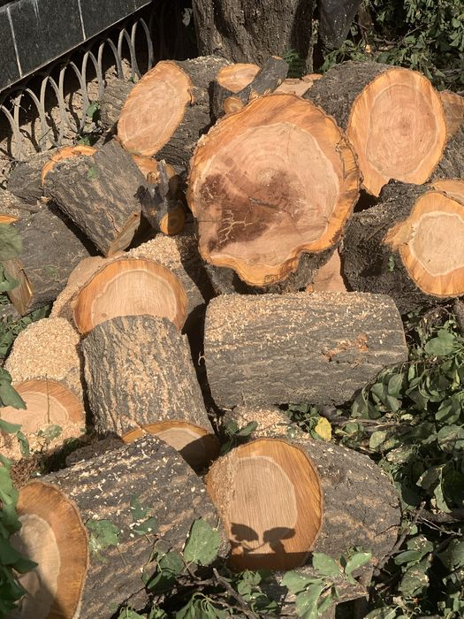 Дрова урюк . Самовывоз .