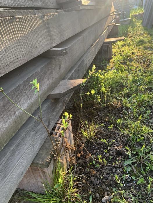 Vând 3 grinzi de lemn de esență tare