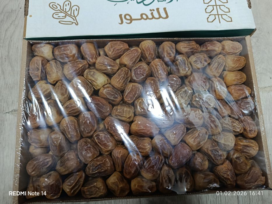 Sukkari madina xurmosi