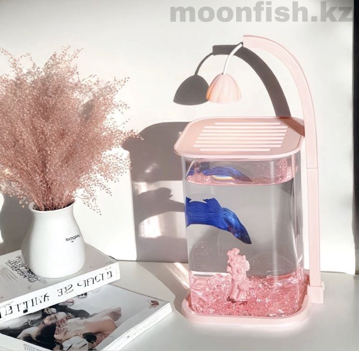 Аквариум + декор + рыба+корм