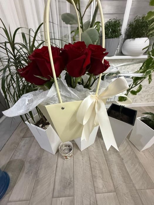 Розы живые, зачаганск