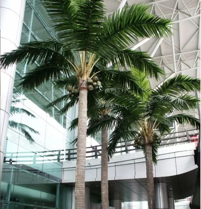 Palmalar yasab berish parki