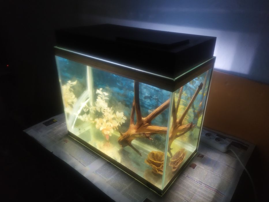 Аквариум 48л + бонусы и рыбки.