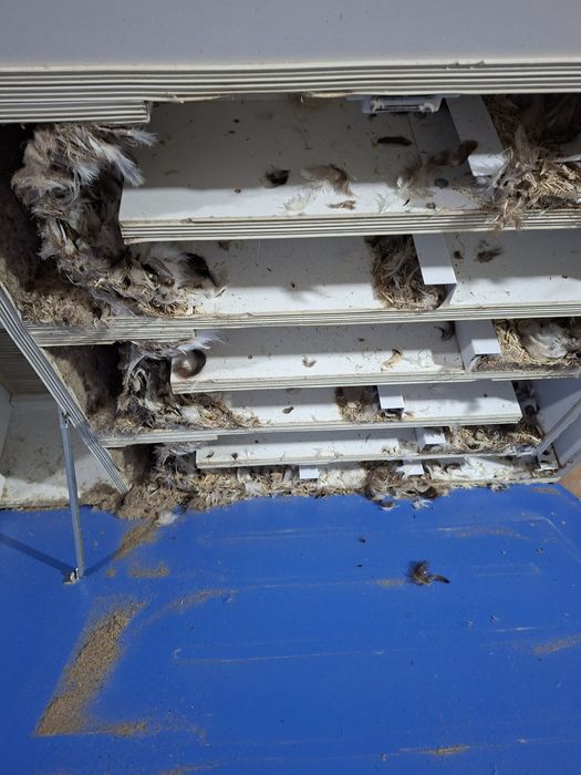 Реставрация подушек, чистка пера.