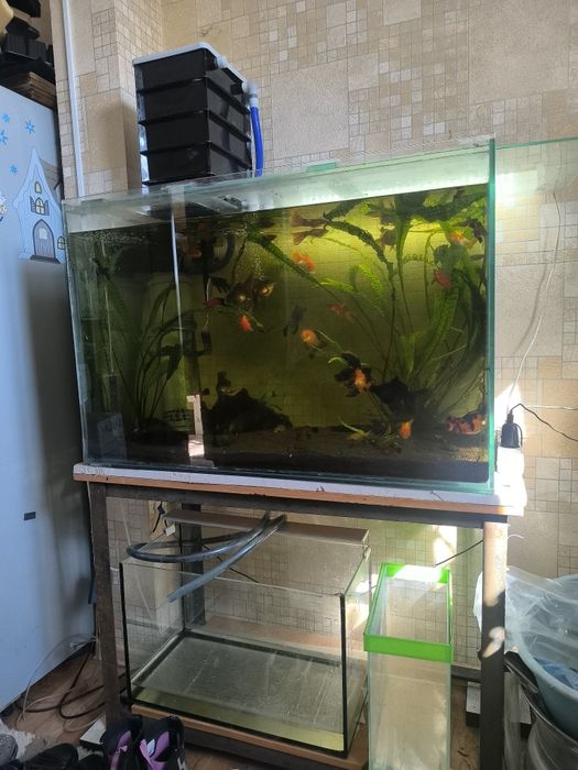 Продам аквариум со стойкой